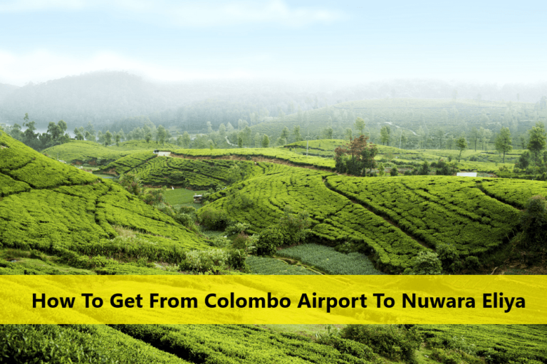 How To Get From Colombo Airport To Nuwara Eliya Sri Lanka Driver Guide