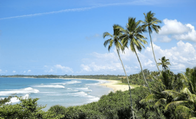 Best 10 Places To Visit in Bentota