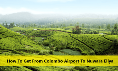 How To Get From Colombo Airport To Nuwara Eliya