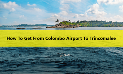 How To Get From Colombo Airport To Trincomalee