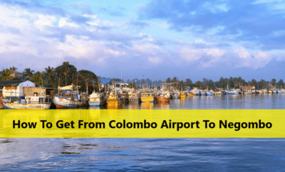 How To Get From Colombo Airport To Negombo