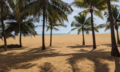Colombo Airport to Negombo: Best Transport Options & Travel Guide
