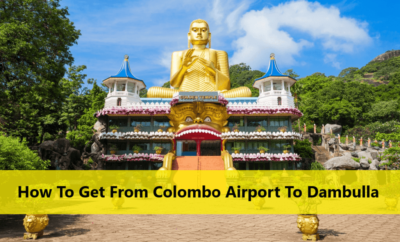 How To Get From Colombo Airport To Dambulla