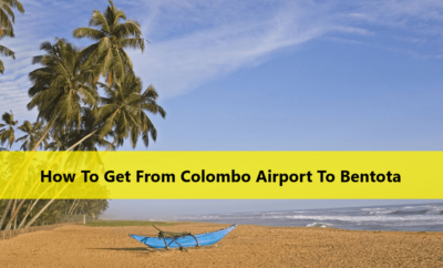 How To Get From Colombo Airport To Bentota