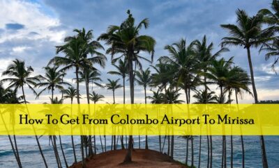 How To Get From Colombo Airport To Mirissa