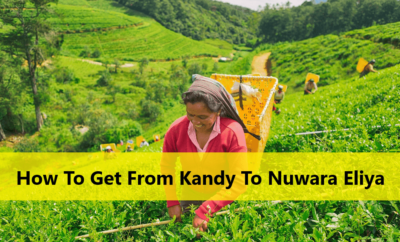 How To Get From Kandy To Nuwara Eliya