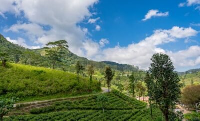How To Get From Kandy To Nuwara Eliya