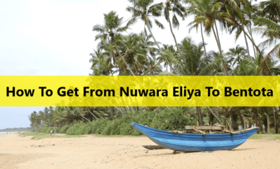 How To Get From Nuwara Eliya To Bentota