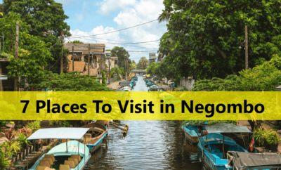 7 Places To Visit in Negombo