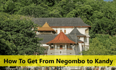 How To Get From Negombo to Kandy