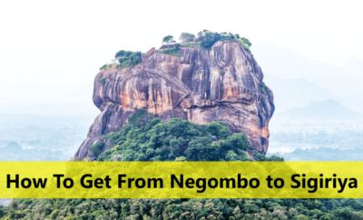 How To Get From Negombo to Sigiriya