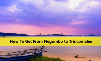 How To Get From Negombo to Trincomalee