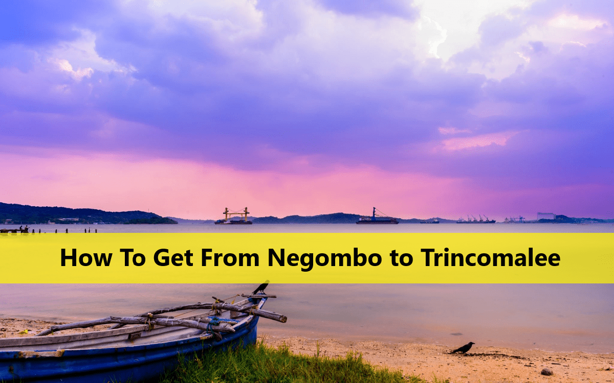 Negombo to Trincomalee