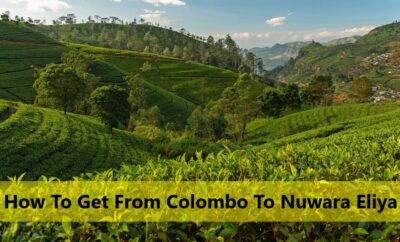 How To Get From Colombo To Nuwara Eliya