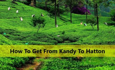 How To Get From Kandy To Hatton