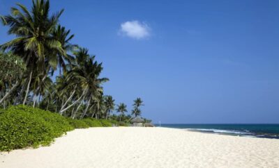 How To Get From Negombo To Tangalle