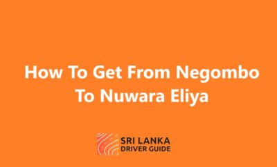 How To Get From Negombo To Nuwara Eliya