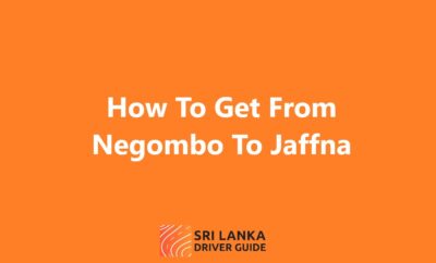 How To Get From Negombo To Jaffna