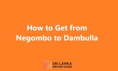 How to Get from Negombo to Dambulla